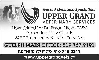 UPPER GRAND VETERINARY SERVICES 2
