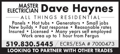 Dave Haynes 2