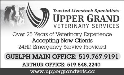 UPPER GRAND VETERINARY SERVICES 2