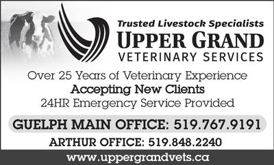 UPPER GRAND VETERINARY SERVICES 2