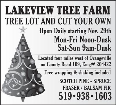 LAKEVIEW TREE FARM 3